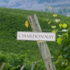 Deutsche Spitzen-Chardonnays