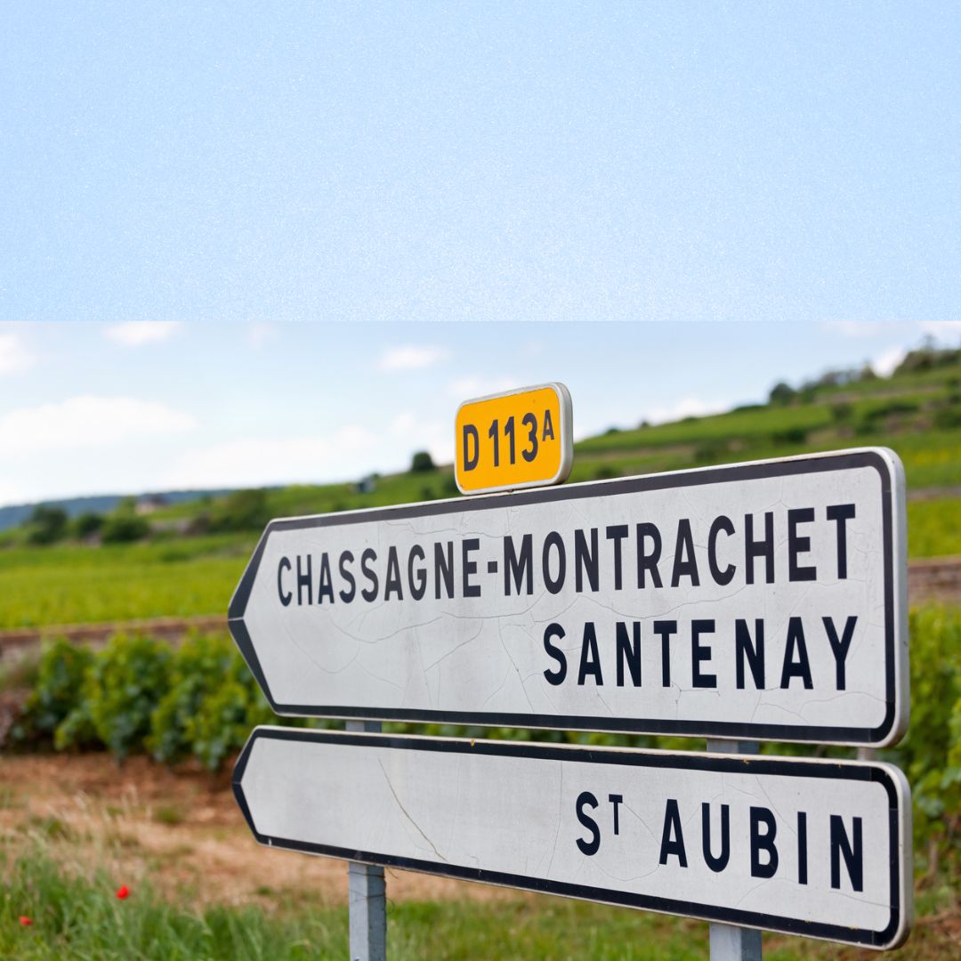Chassagne-Montrachet: zeitlose Eleganz